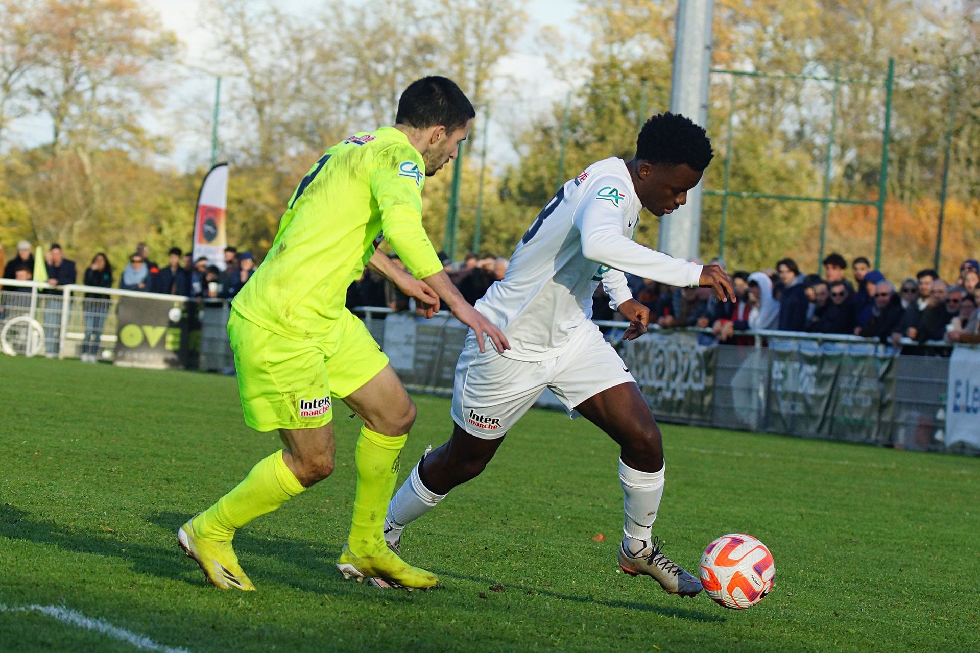 Image de diapositive