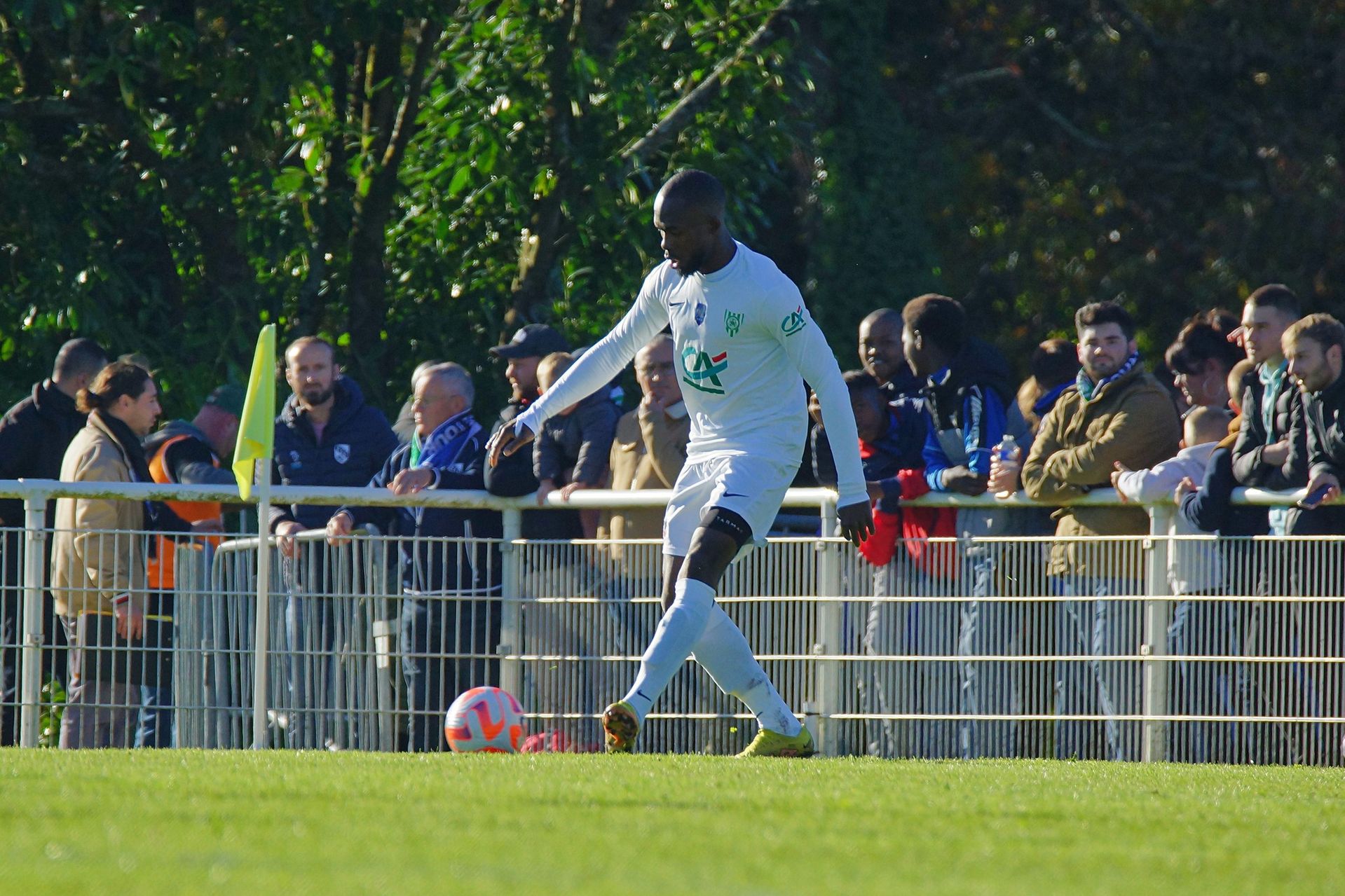 Image de diapositive