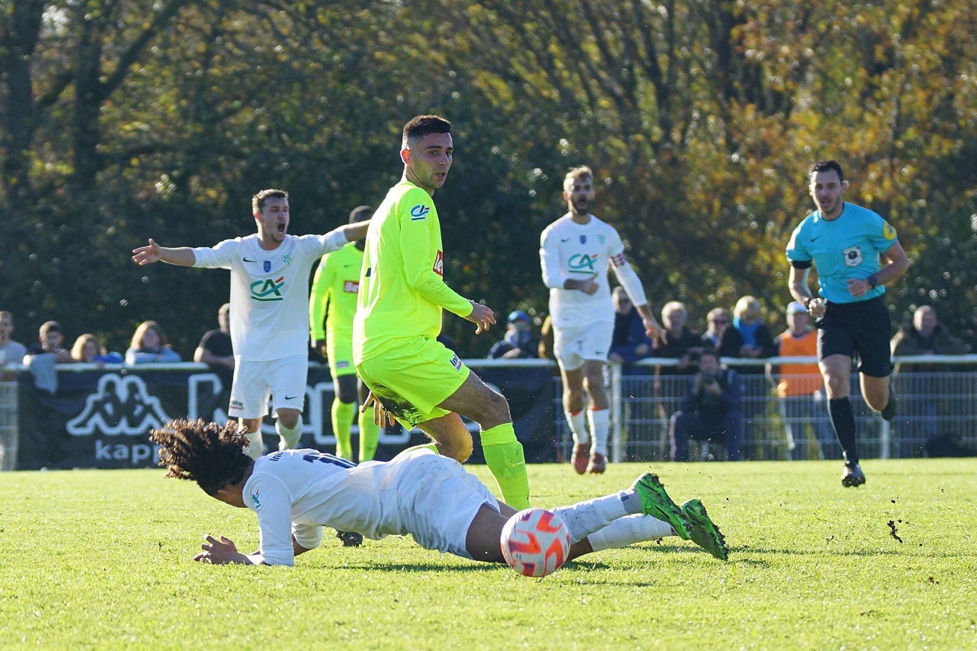 Image de diapositive