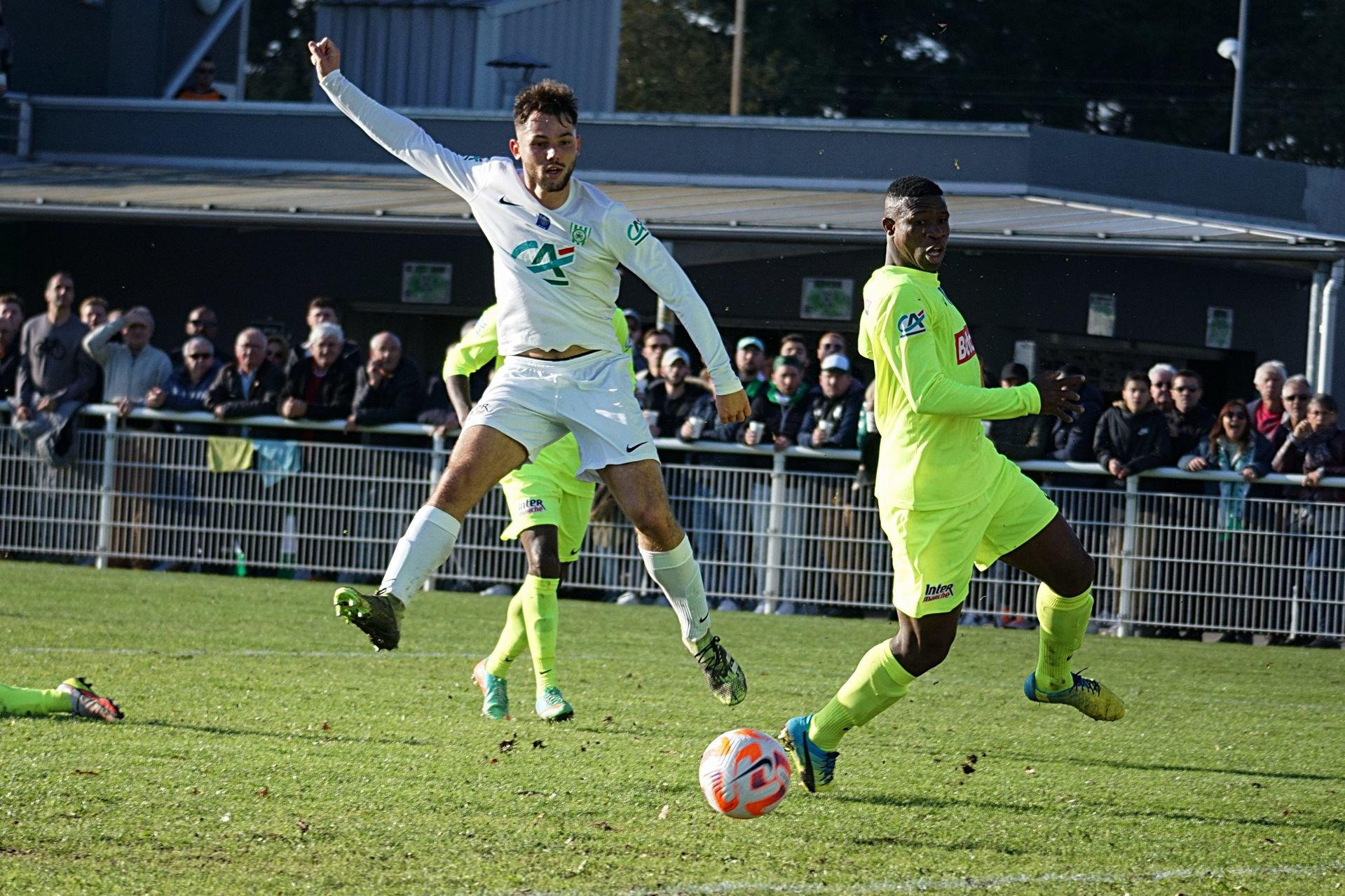 Image de diapositive