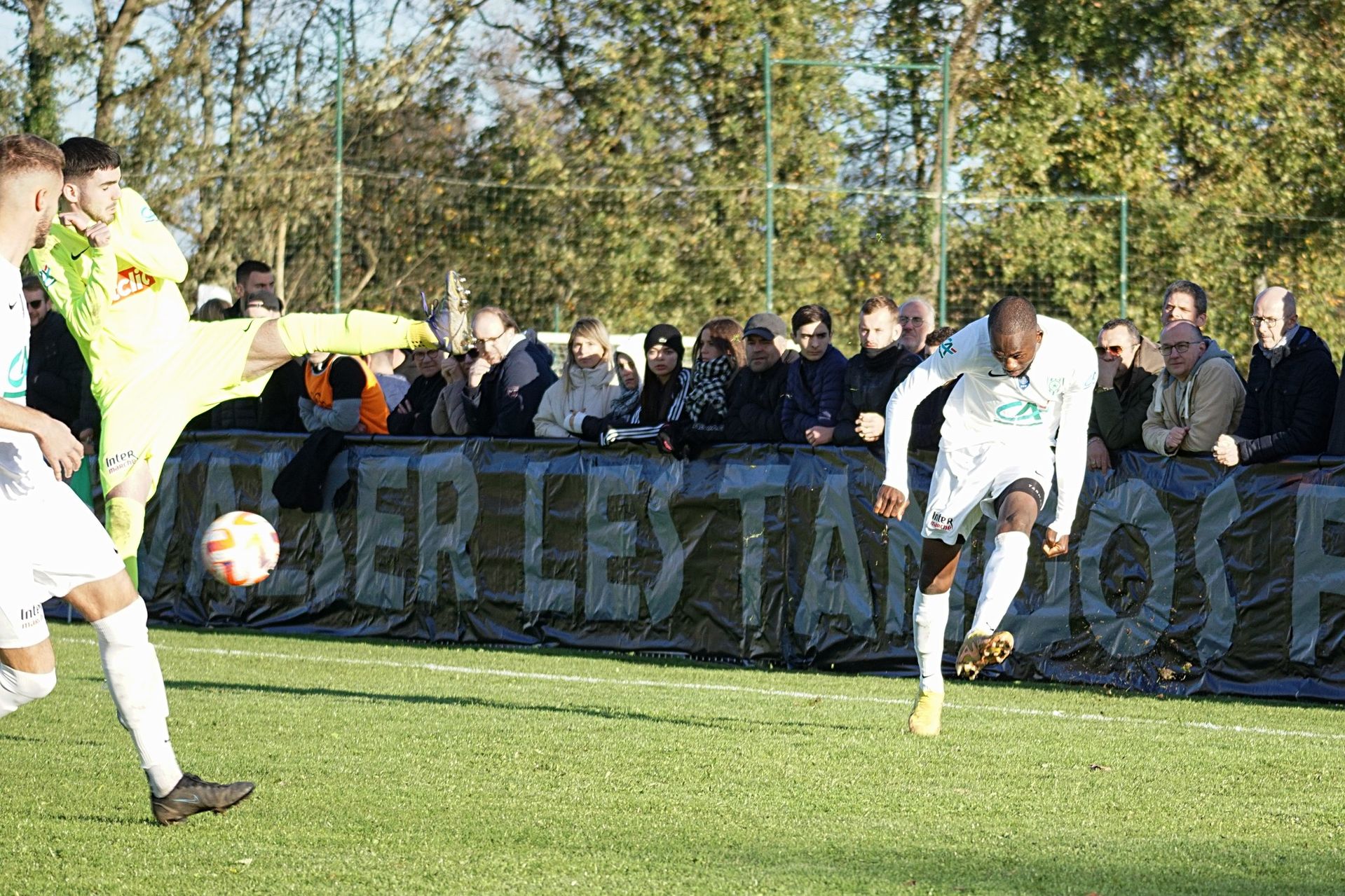 Image de diapositive