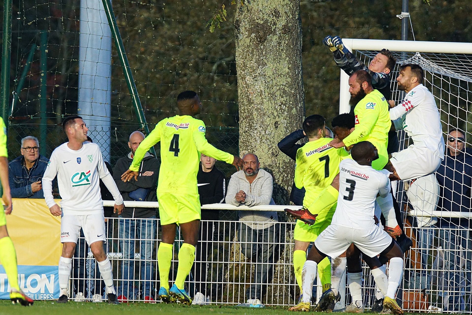 Image de diapositive