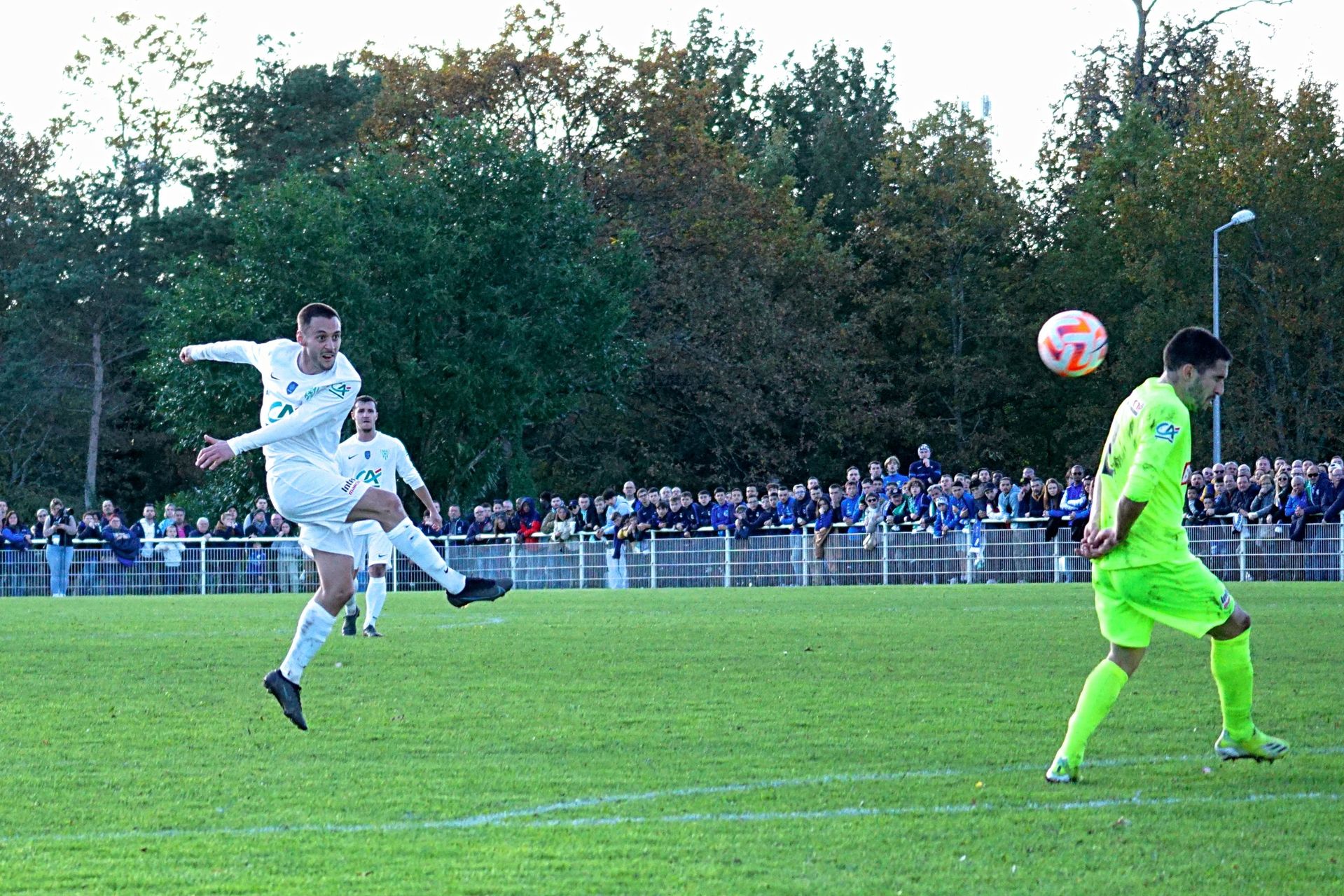 Image de diapositive