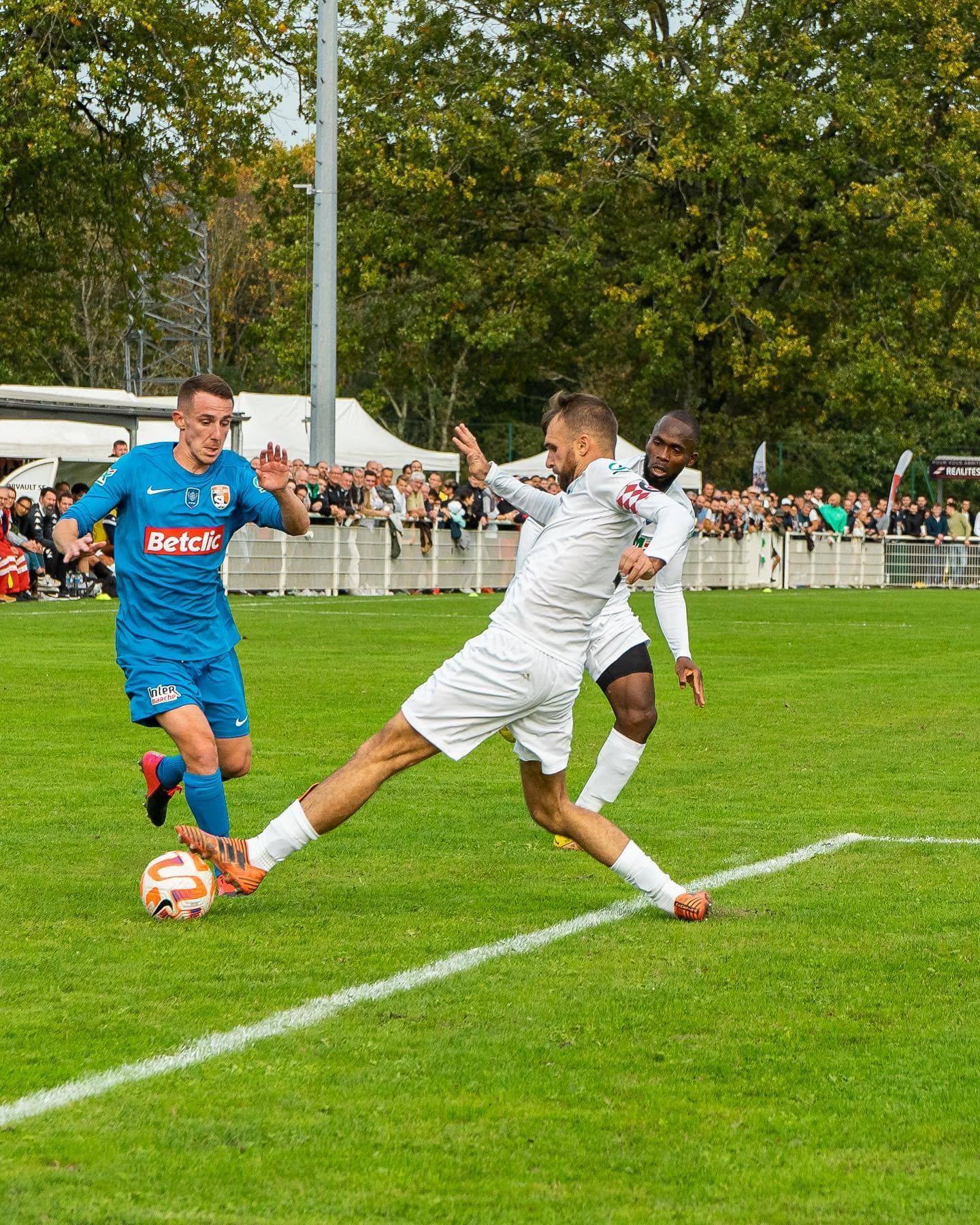 Image de diapositive