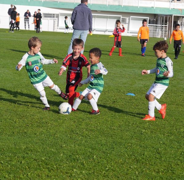 Image de diapositive