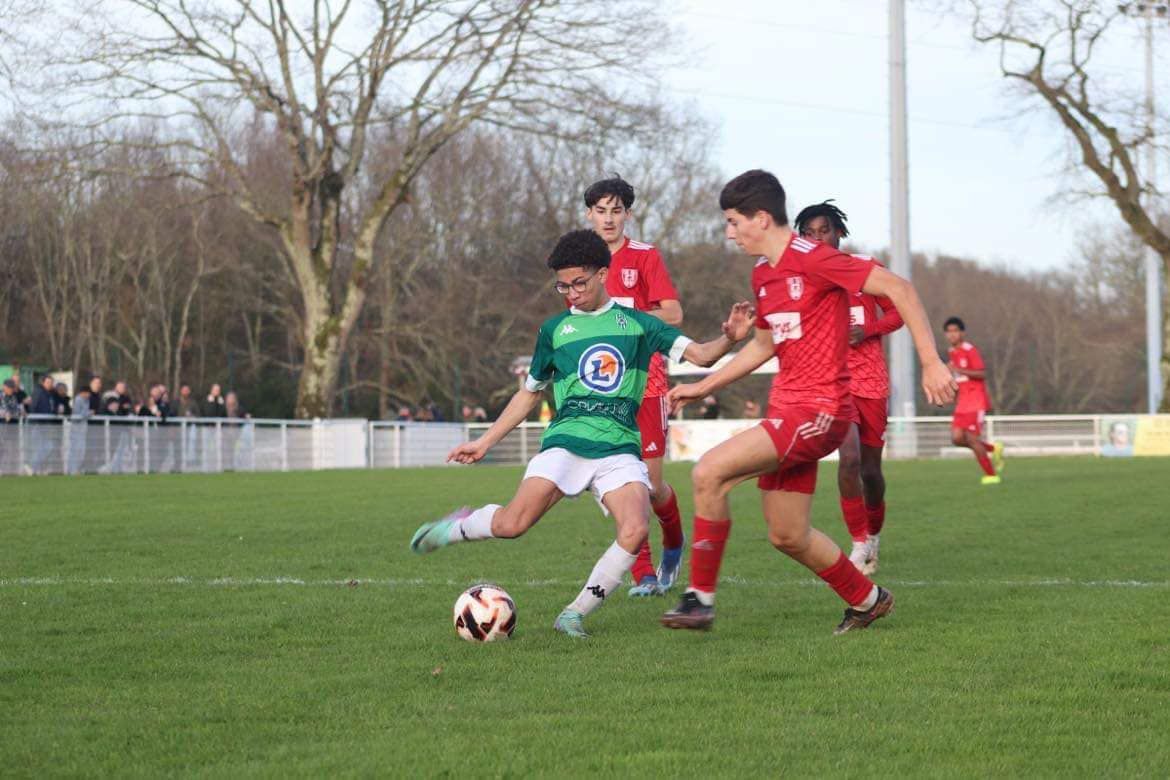 Image de diapositive